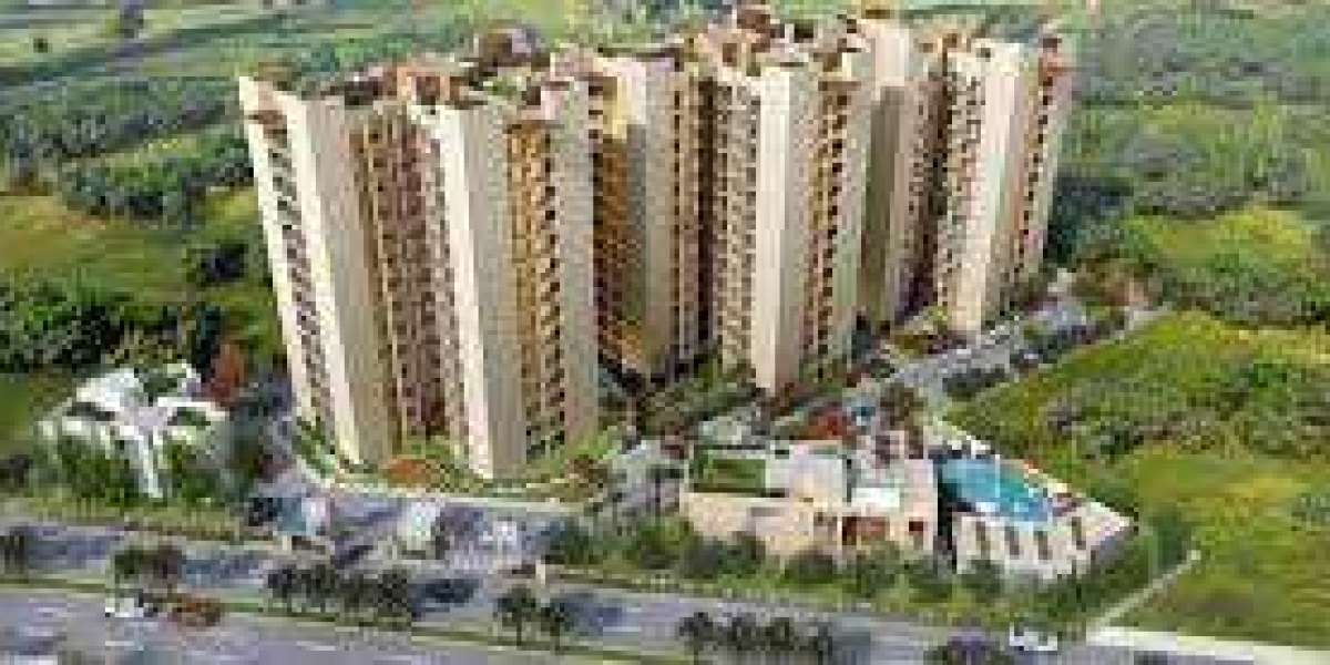 Why To Own Property In New Chandigarh