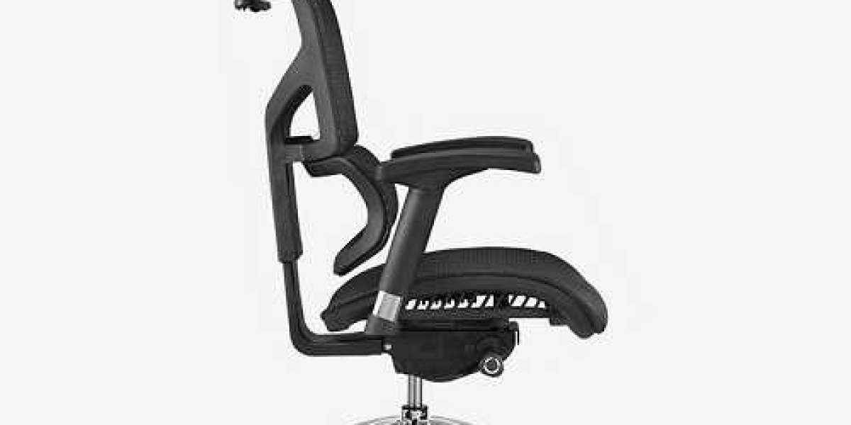 Executive Ergonomic Chair Review - What Type of Executive Ergonomic Office Chair is Best?
