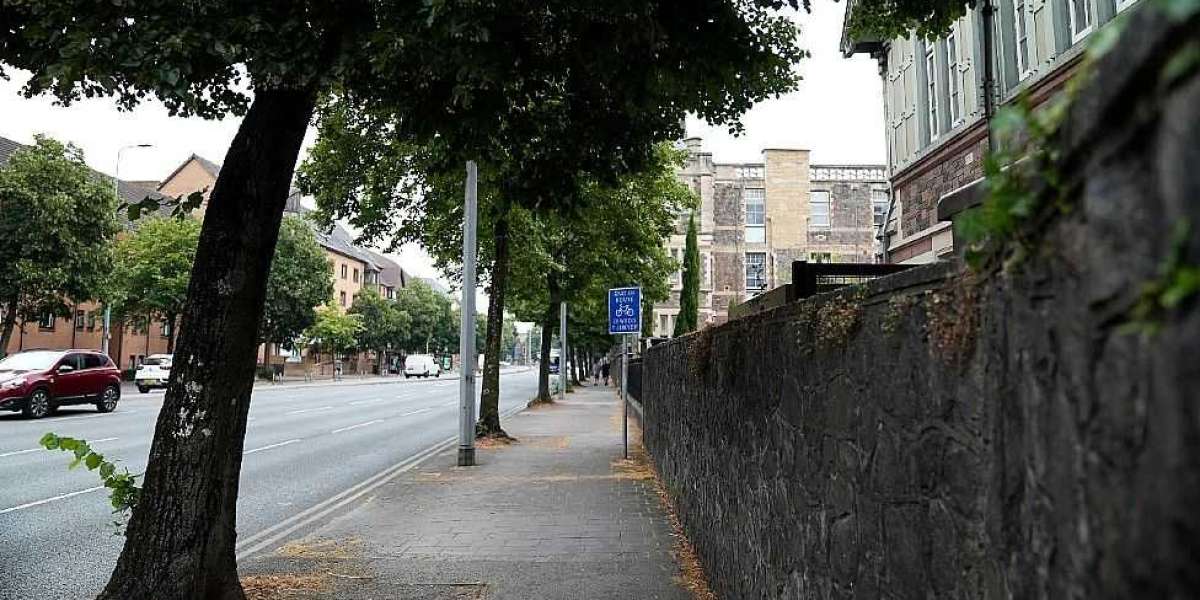 Video of woman harassed in Cardiff gets two million views