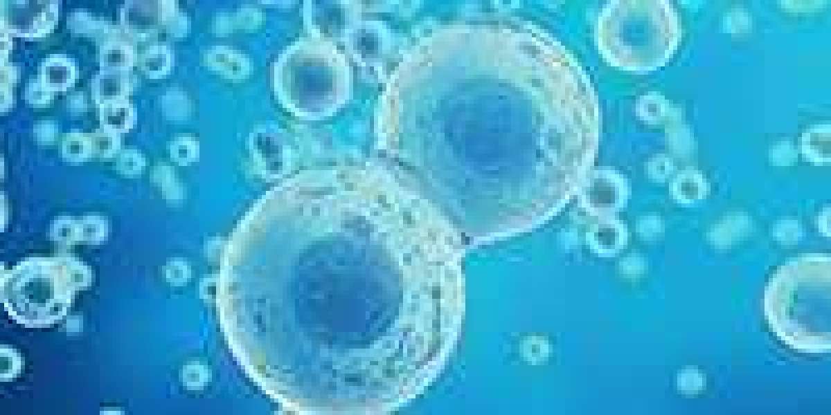 Rising Demand For Cell & Gene Therapy Manufacturing Services Market