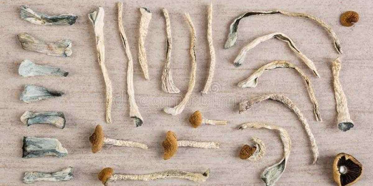 Effects Of Dried Magic Mushrooms