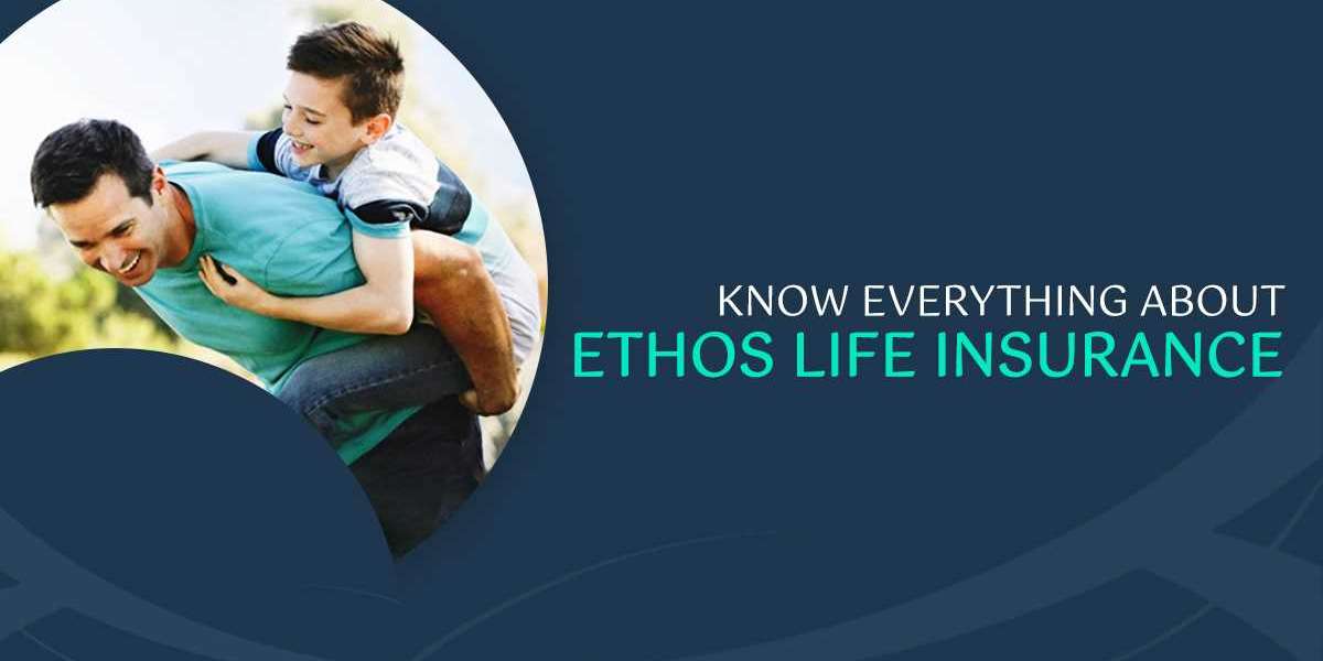 Ethos insurance agency