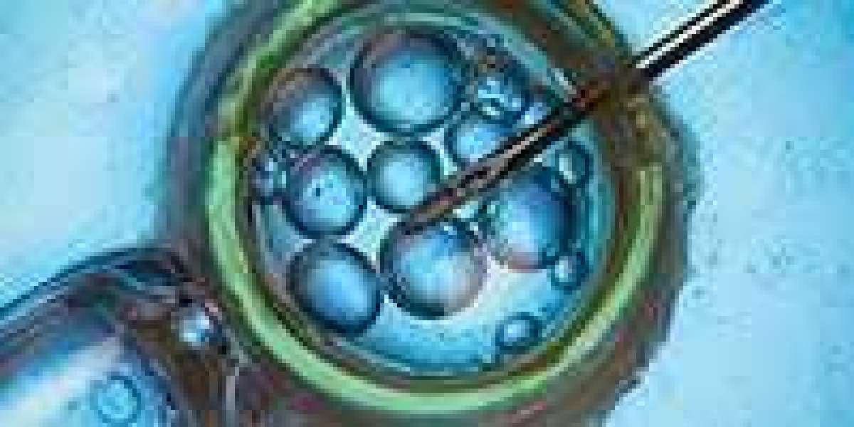 Emerging Trends in In Vitro Fertilization Market