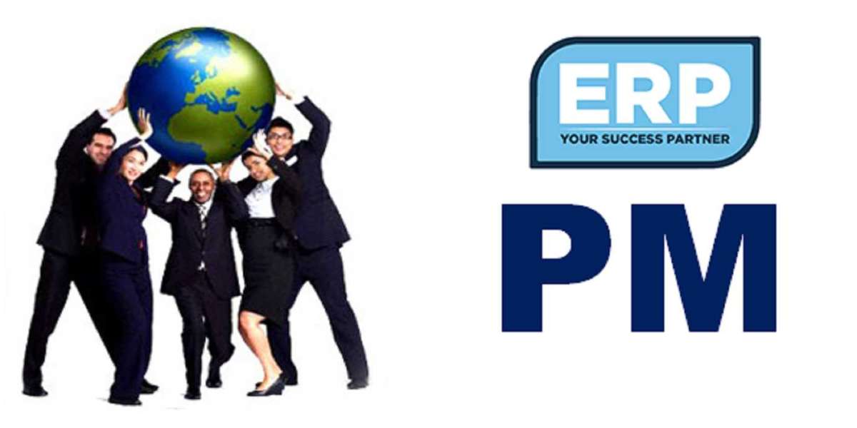 Best SAP PM Training In Noida BY ERP Training Noida