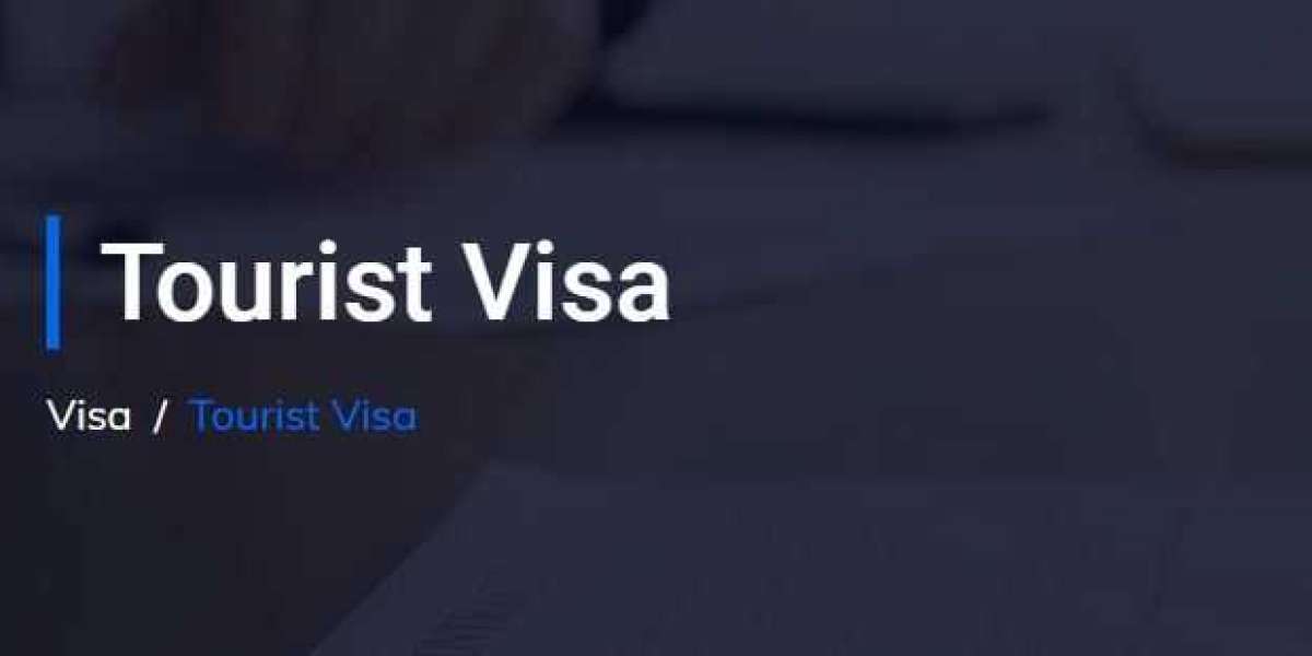 What is the process of Australian Tourist Visa application and process time