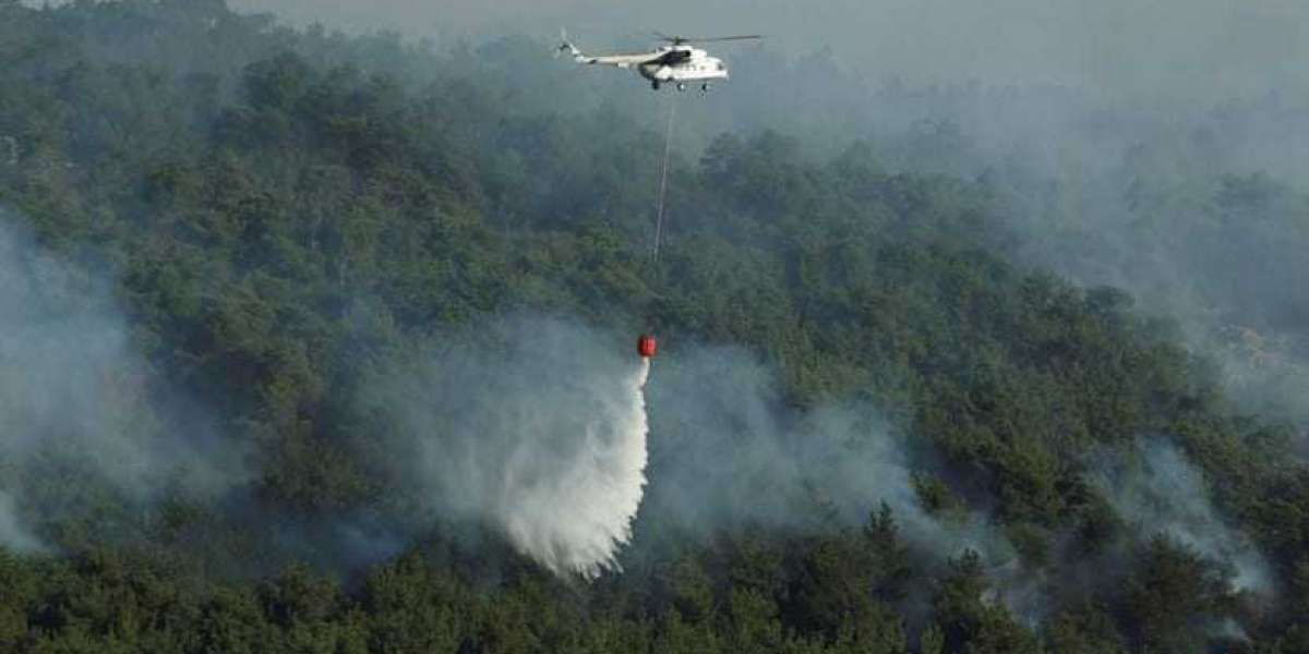 EU plans to build firefighting fleet faster after summer of climate crises