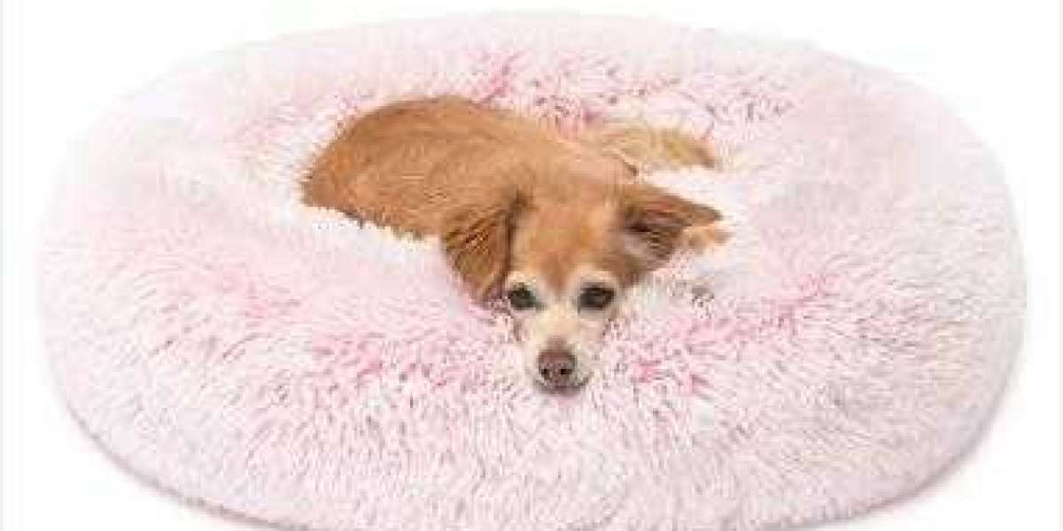 How To Choose The Suitable Round Plush Dog Bed?