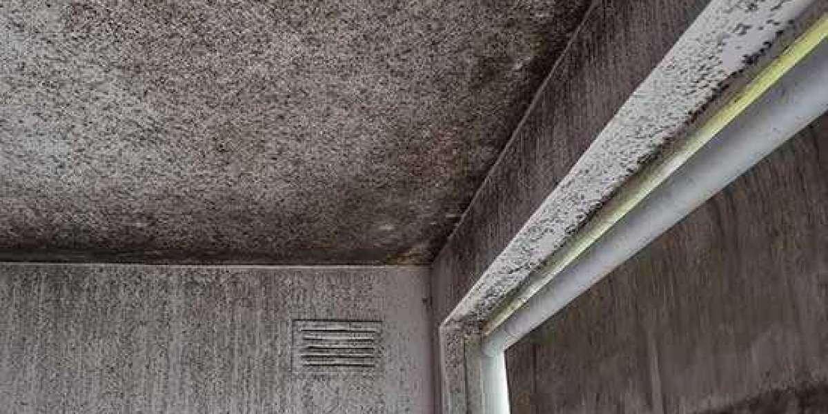 How To Clean Mould Off The Ceiling?