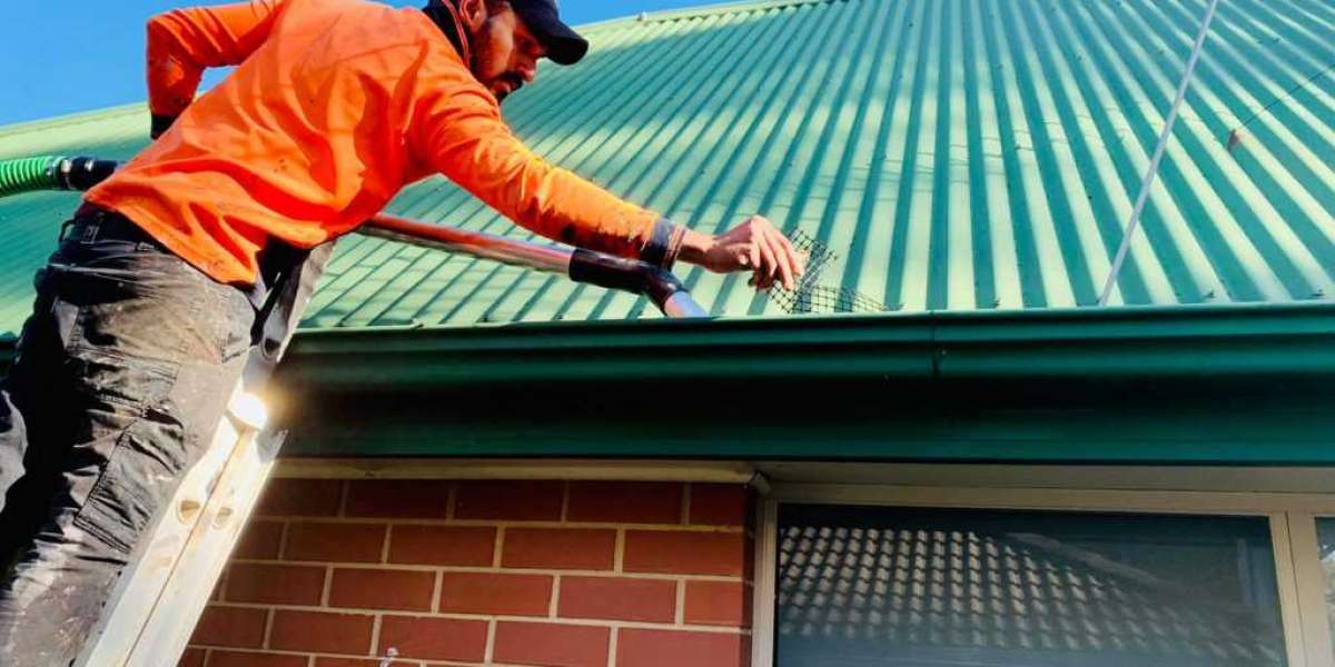 Dial A Gutter For Affordable Gutter Cleaning Solutions