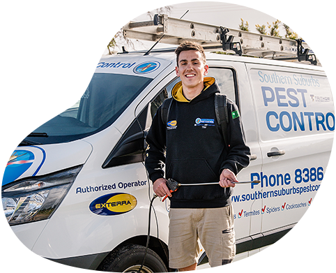 Pest Control Lonsdale | Termite Treatment | Termite Control