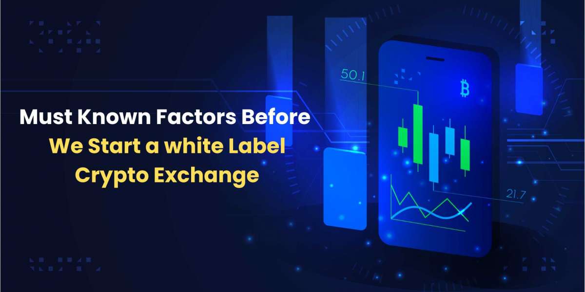 Must Known Factors Before We Start a white Label Crypto Exchange