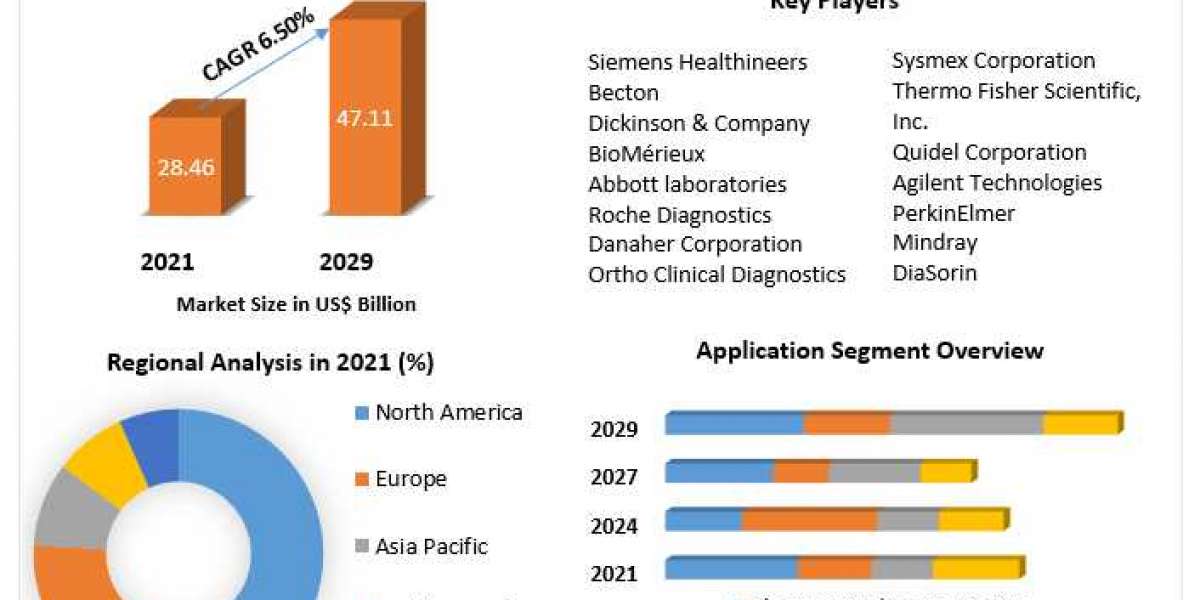 Immunoassay Market Growth Factors, Top Manufacturers, Future Investment, Trends, Segmentation, Regional Outlook, Future 