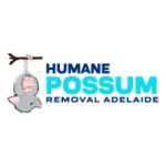 Humane Possum Removal Adelaide