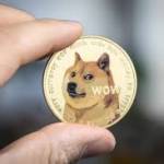 DogeCoin Millionaire