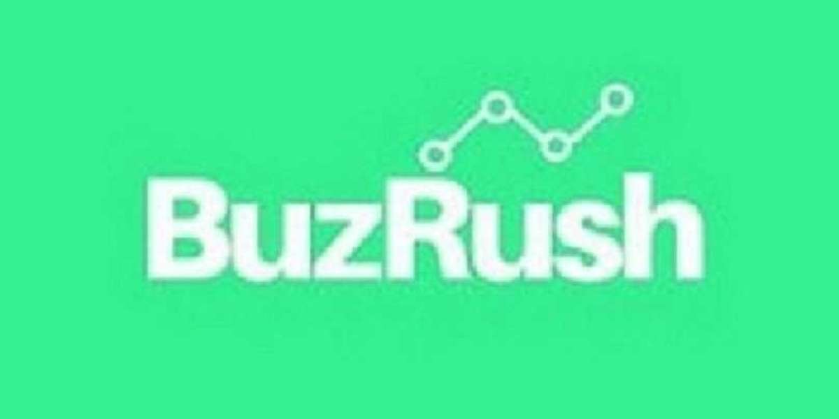 Buzrush Reviews & Digitalvisi Review8