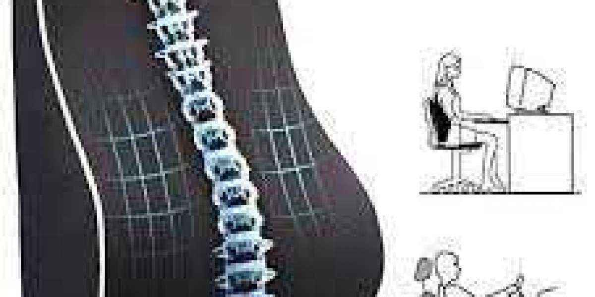 Best Lumbar Pillow For Lower Back Pain While Sitting
