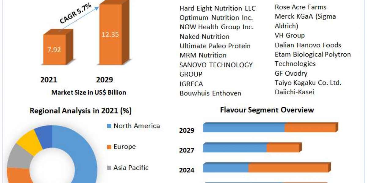 Egg Protein Market Growth Factors, Top Manufacturers, Future Investment, Trends, Segmentation, Regional Outlook, Future 