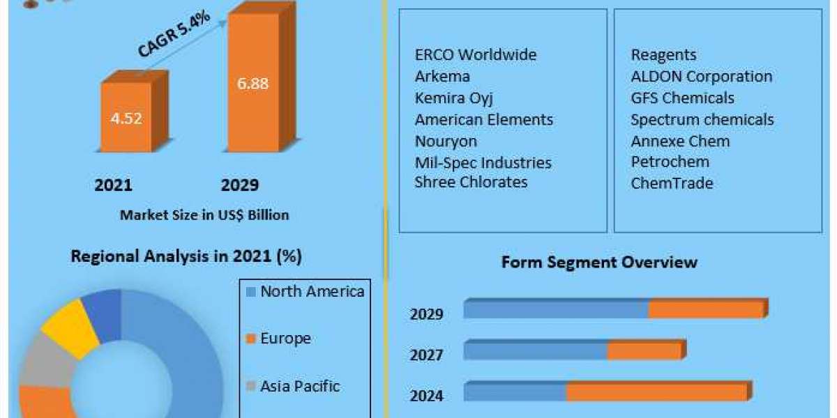 Sodium Chlorate Market Company Challenges And Essential Success Factors