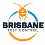 E Rodent Control Brisbane