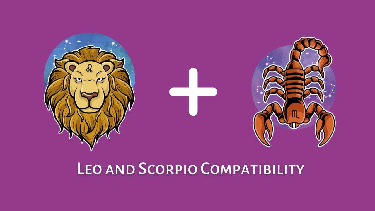 Leo and Scorpio Compatibility – Are Scorpio and Leo Compatible? - eAstroHelp