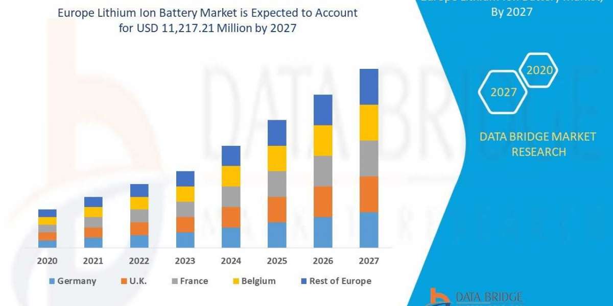 Europe Lithium Ion Battery Market Business Outlook