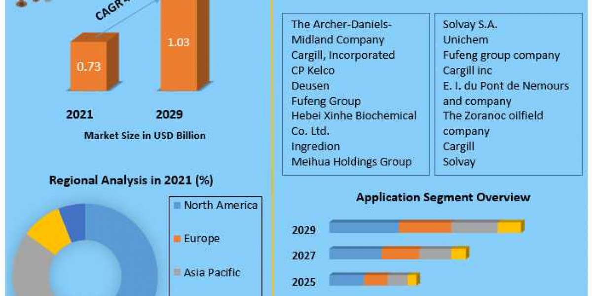 Xanthan Gum Market: Rising Geriatric Population And Incidence Of Target Conditions