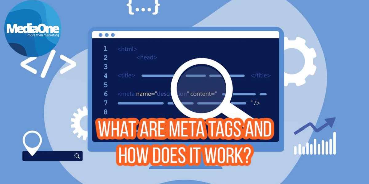 The Importance of Meta Tags