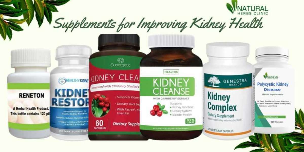 Harnessing the Power of Kidney Disease Supplements to Improve Health