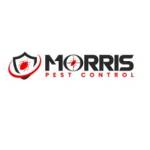 Morris Wasp Removal Hobart Hobart