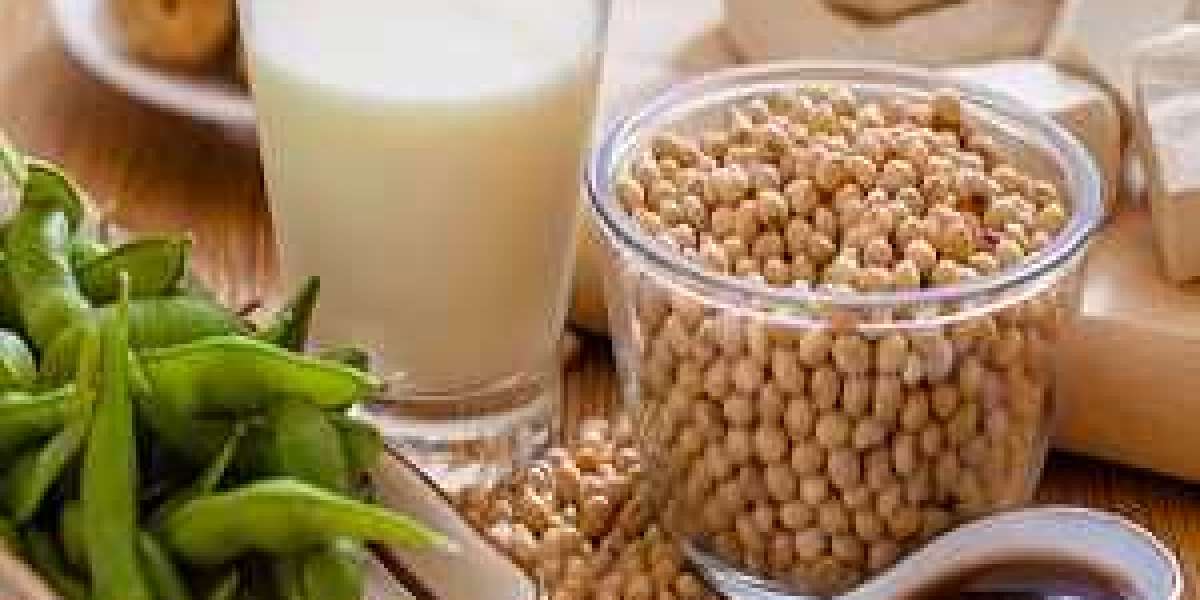 Organic Soybean Market Opportunities and Challenges