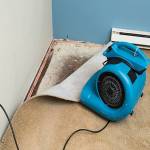 Carpet Repair Ipswich