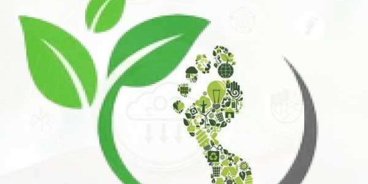 Carbon Footprint Management Market Expected to Experience Attractive Growth through 2029
