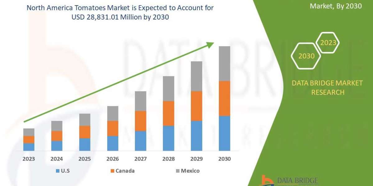 Market opportunity Analysis and Industry report of  North America Tomatoes Market to 2030 .