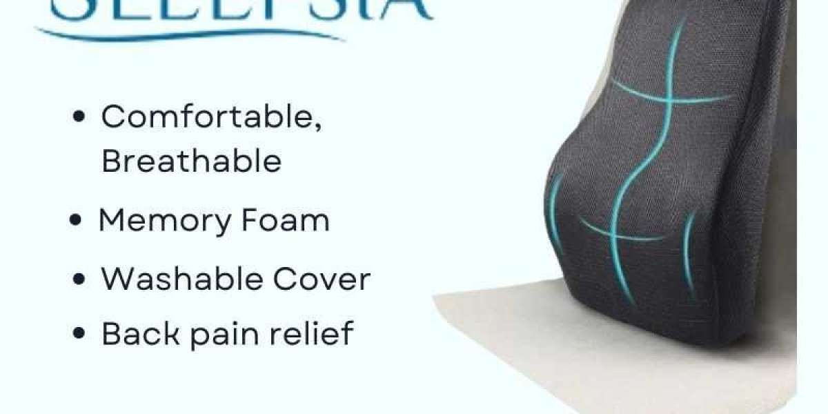 Best Lumbar Support Pillow According to Experts