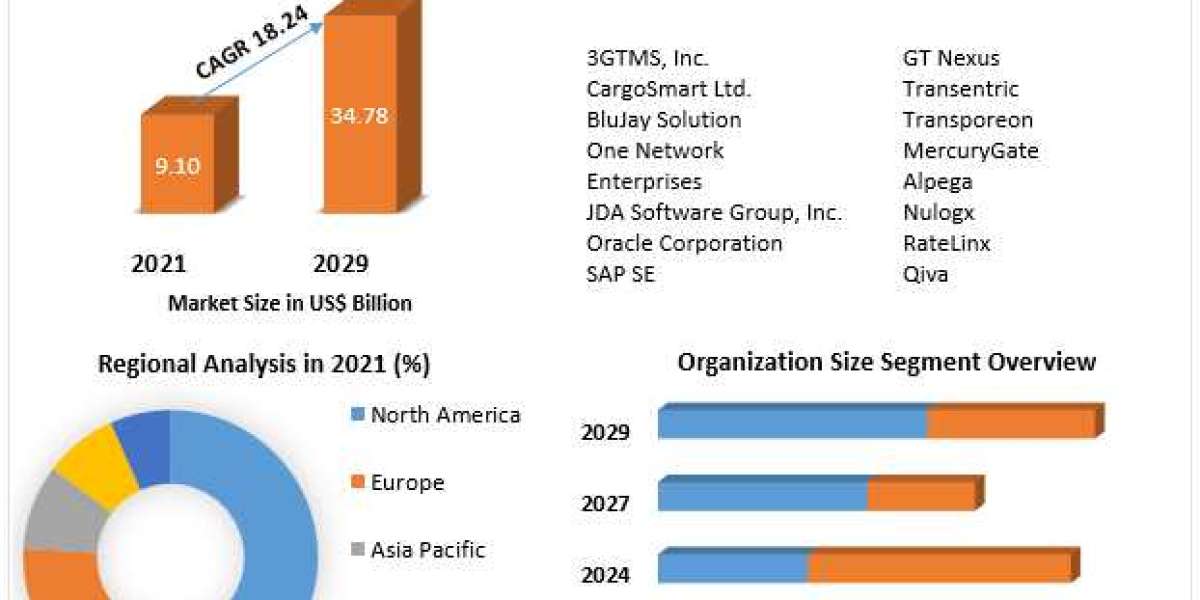 Transportation Management System (TMS) Market Growth, Trends, Scope, Competitor Analysis and Forecast 2029