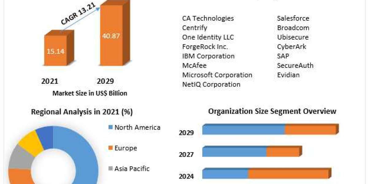 Identity and Access Management Market Competitive Landscape & Strategy Framework To 2029