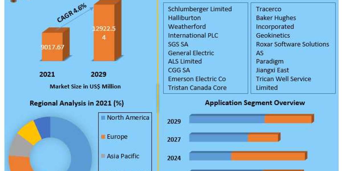 Reservoir Analysis Market Sales Revenue