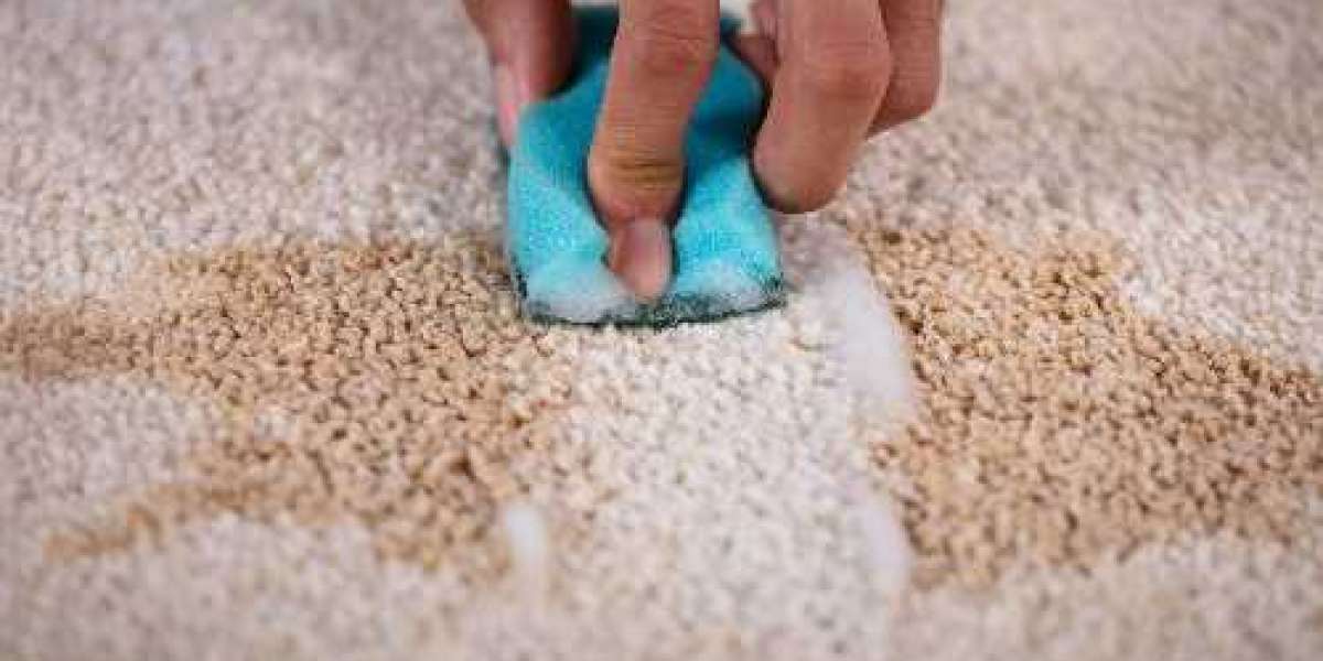 What Are the Best Ways to Remove Stains Carpets