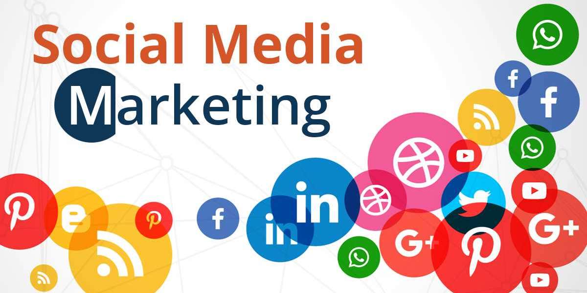 Social Media Marketing Company in Bareilly Also Help