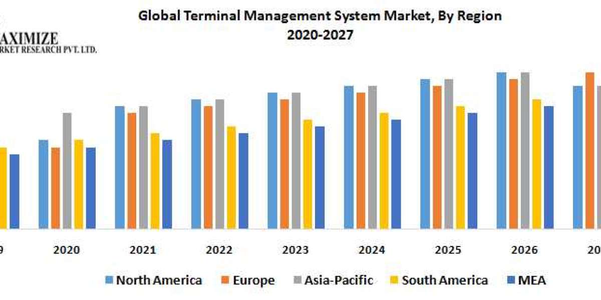 Global Terminal Management System Market Business Strategy