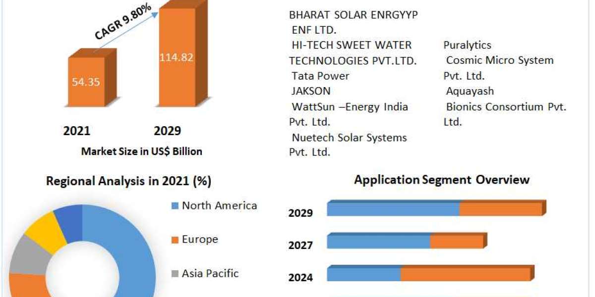 Solar Purifier Market Leading Players