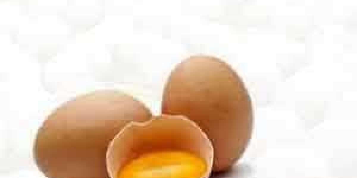Processed Egg Market To Boom In Near Future By 2029 Scrutinized In New Research
