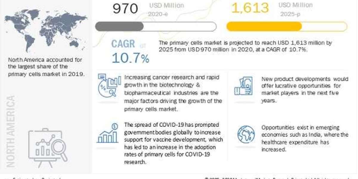 Which are the top companies hold the market share in Primary Cells Industry?