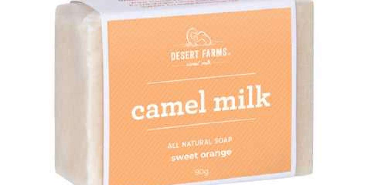 Reasons to Invest in Camel Milk Beauty Products