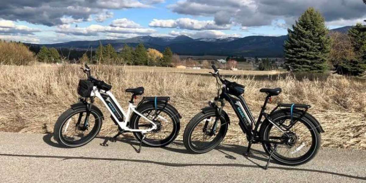 What are the disadvantages of electric bikes?