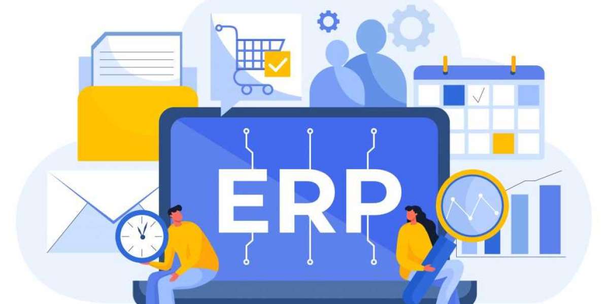 ERP Software for Trading Companies ERP Dubai