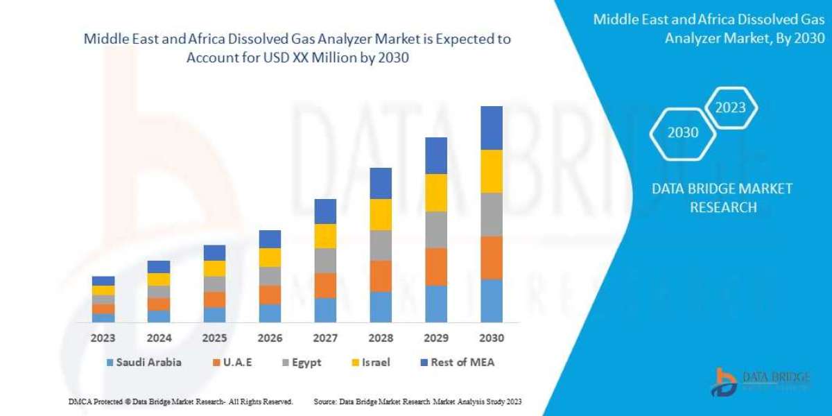 Middle East and Africa Dissolved Gas Analyzer Market Insights 2023: Trends, Size, CAGR, Growth Analysis by 2030