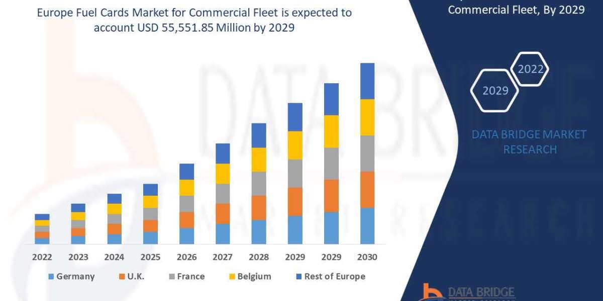 Europe Fuel Cards Market Analysis for Commercial Fleet Experiences Significant Growth with CAGR of 6.3%, Valued at USD 5