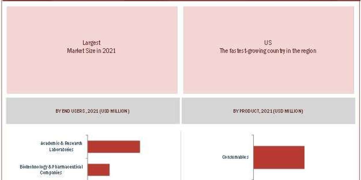 Nourish Your Skin from the Inside Out: Exploring the Skin Health Foods Market 2026