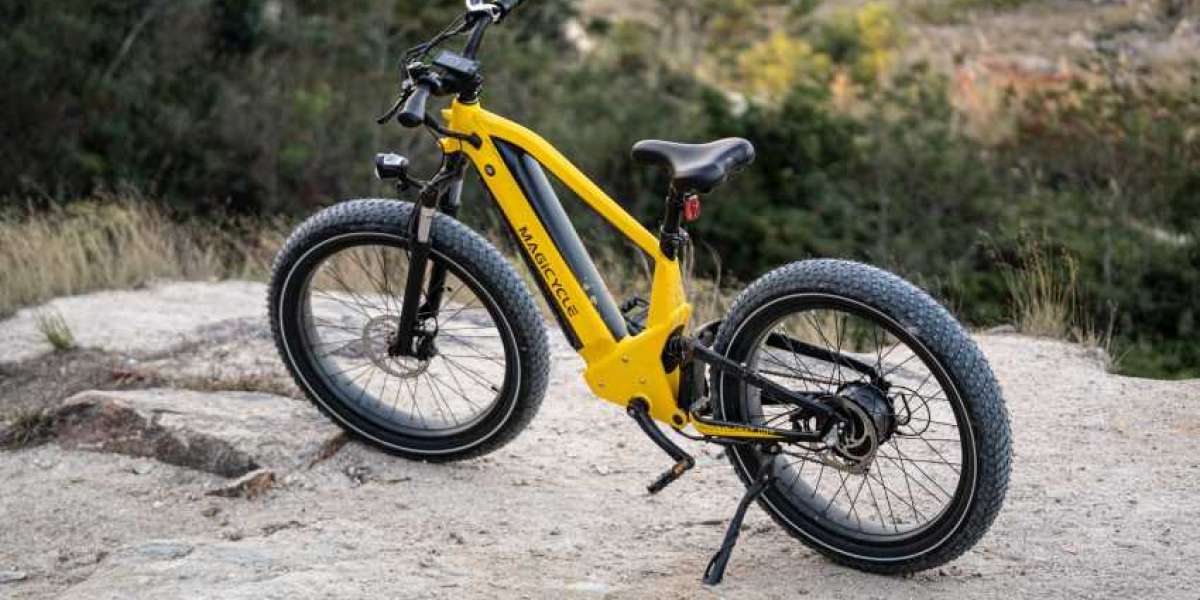 Are Fat Tire Electric Bikes Safe For the Elderly?